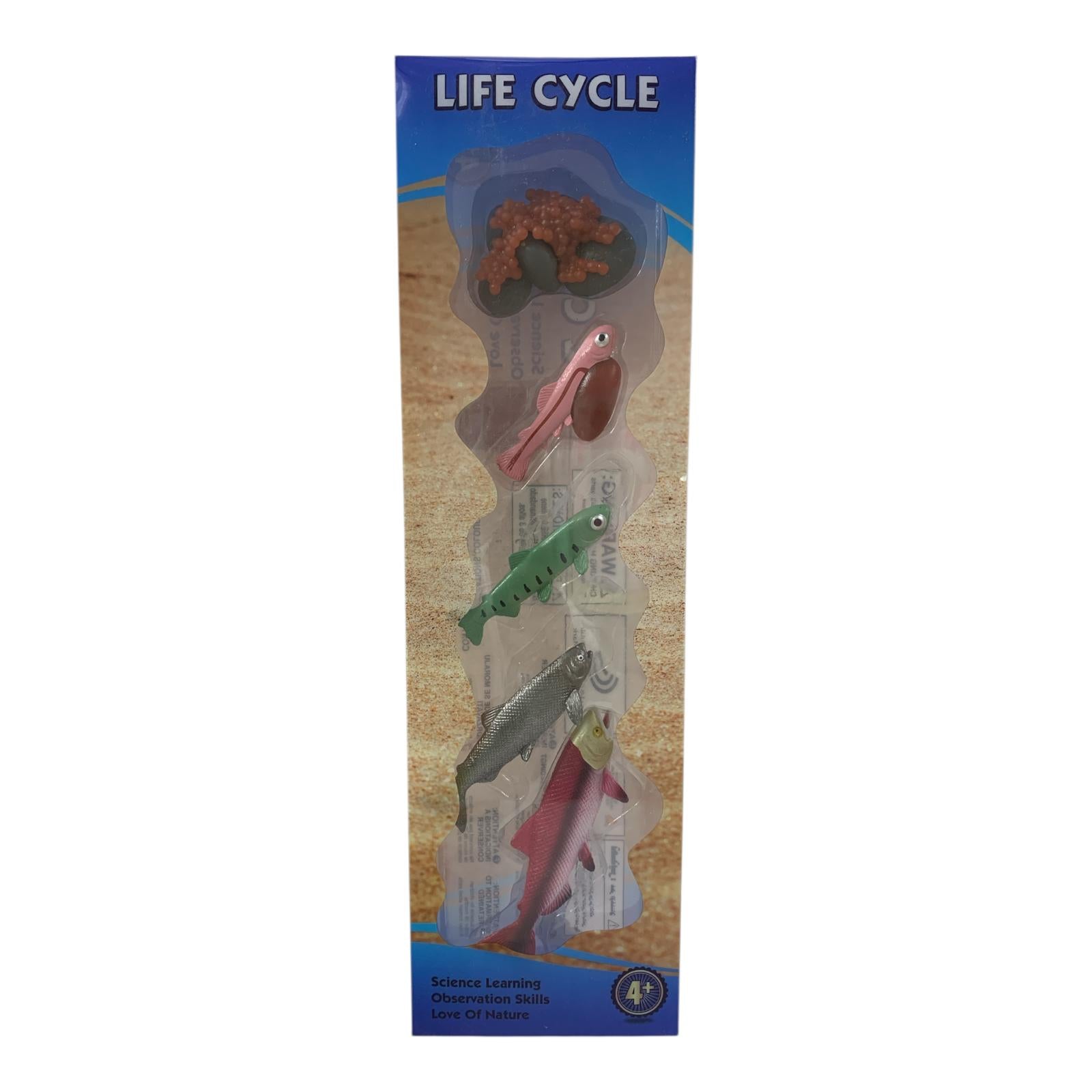 Educational Scientific Toys Life Cycle Set Fish || مجموعة العاب علمية دورة حياة الاسماك