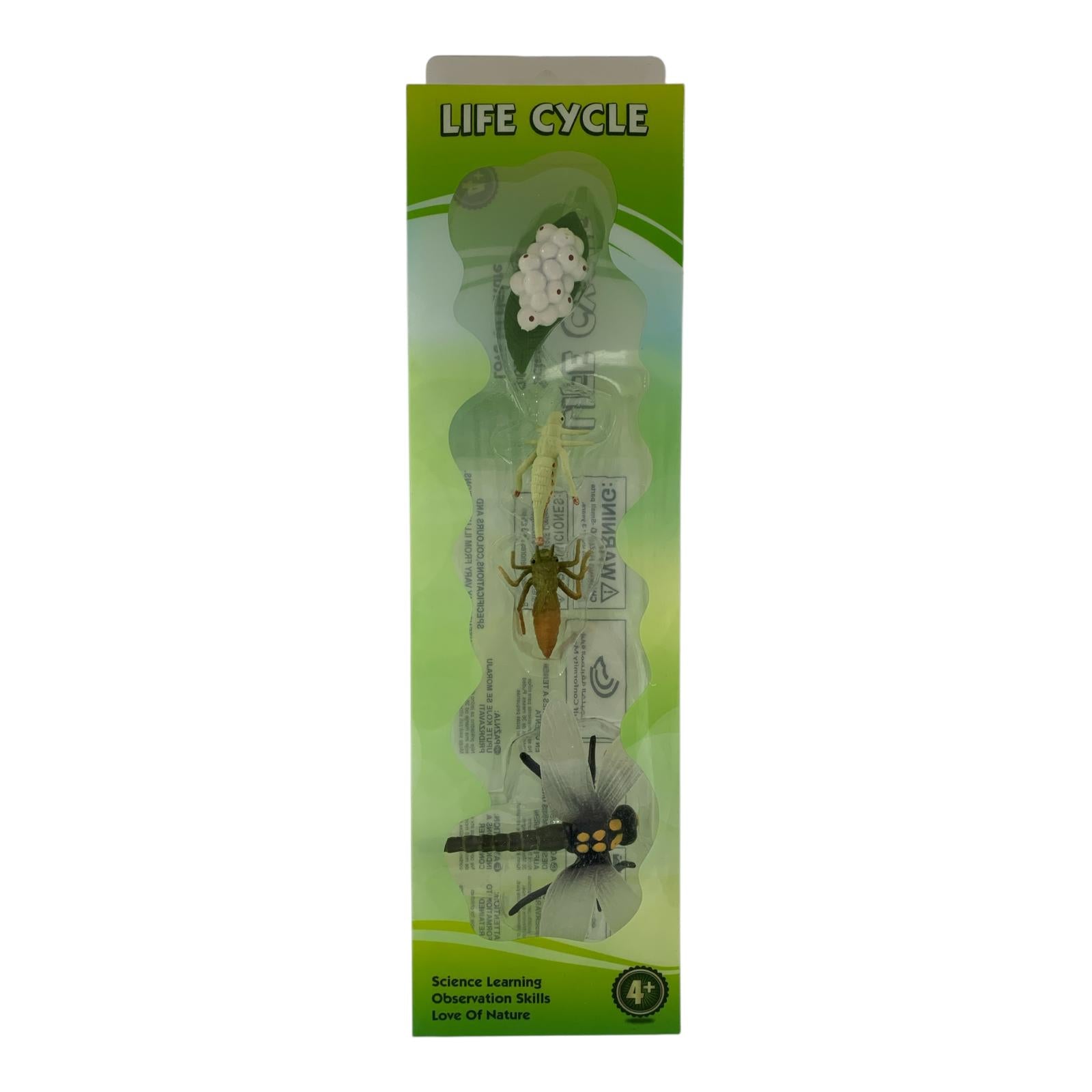 Educational Scientific Toys Life Cycle Set Dragon Fly || مجموعة العاب علمية دورة حياة اليعسوب