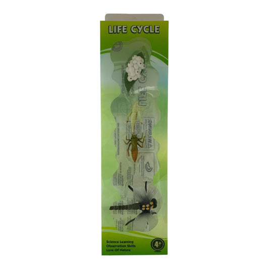 Educational Scientific Toys Life Cycle Set Dragon Fly || مجموعة العاب علمية دورة حياة اليعسوب