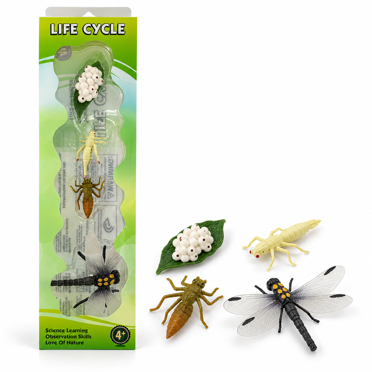 Educational Scientific Toys Life Cycle Set Dragon Fly || مجموعة العاب علمية دورة حياة اليعسوب