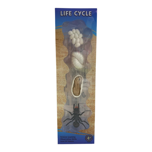 Educational Scientific Toys Life Cycle Set Spider || مجموعة العاب علمية دورة حياة عنكبوت