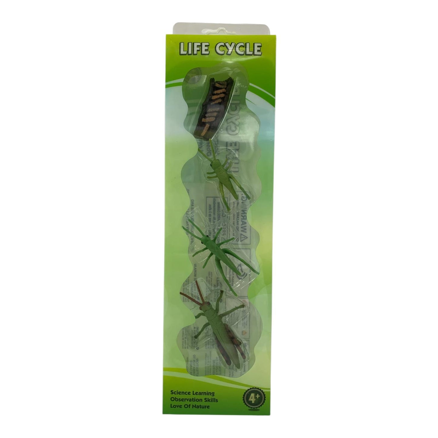 Educational Scientific Toys Life Cycle Set Grasshopper || مجموعة العاب علمية دورة حياة الجندب