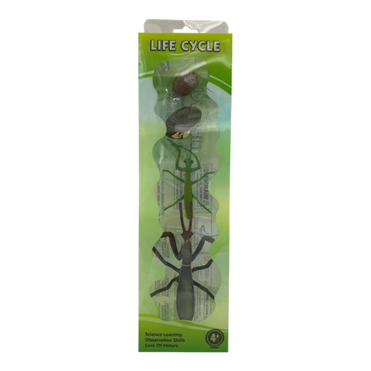 Educational Scientific Toys Life Cycle Set Mantis || مجموعة العاب علمية دورة حياة السرعوف