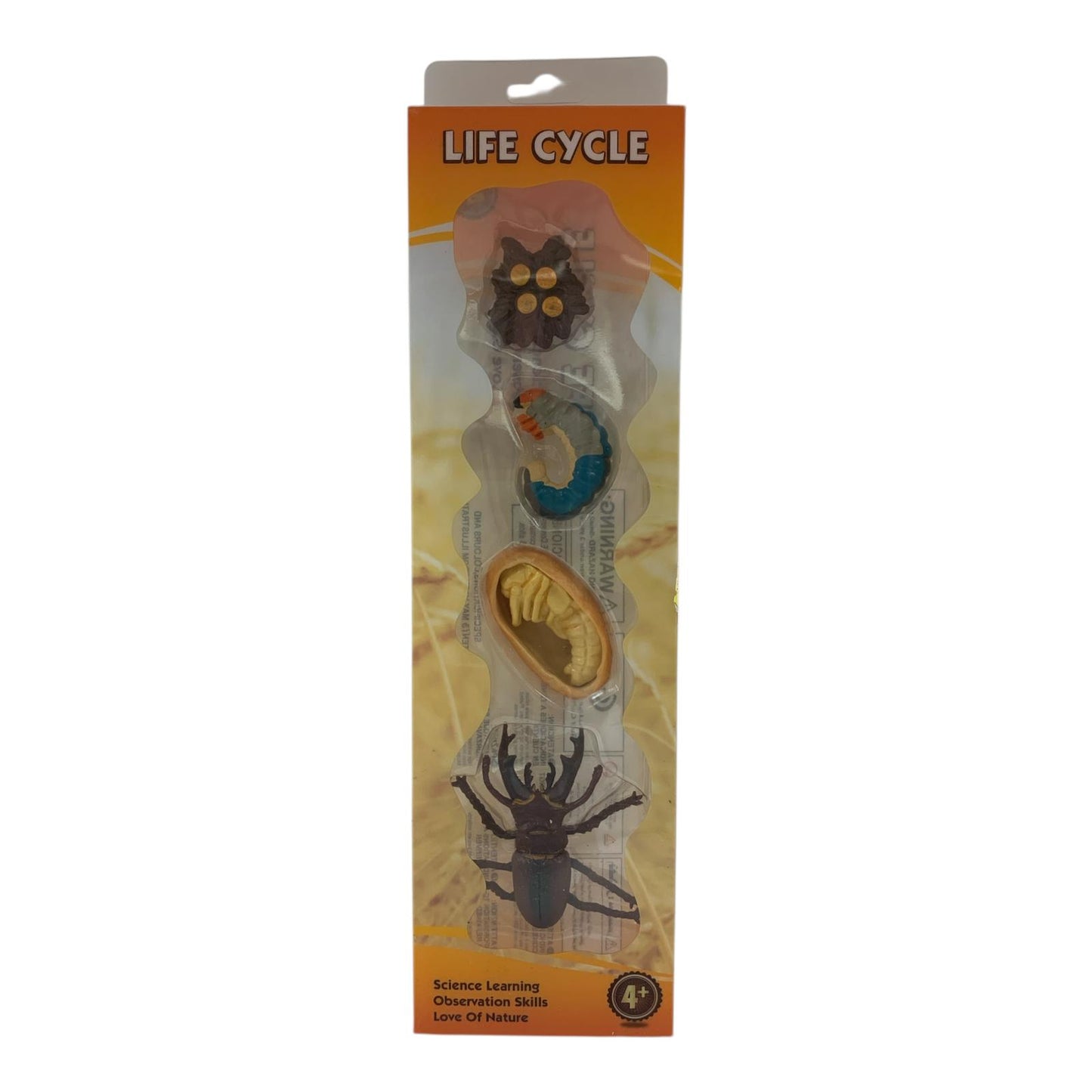 Educational Scientific Toys Life Cycle Set Bettle || مجموعة العاب علمية دورة حياة الخنفساء