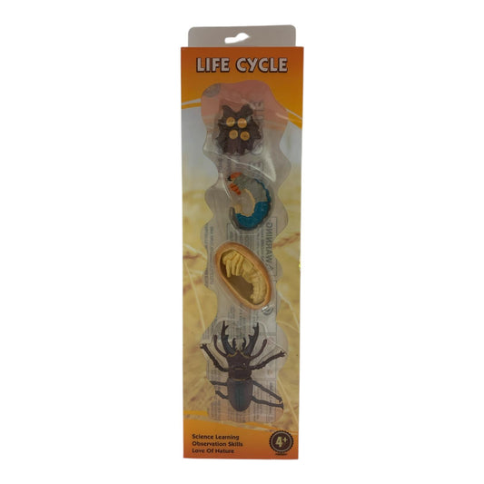 Educational Scientific Toys Life Cycle Set Bettle || مجموعة العاب علمية دورة حياة الخنفساء