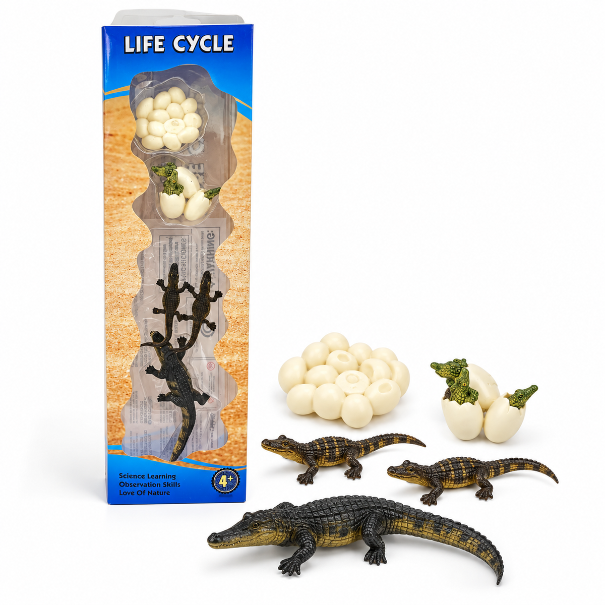 Educational Scientific Toys Life Cycle Set Alligator || مجموعة العاب علمية دورة حياة التمساح