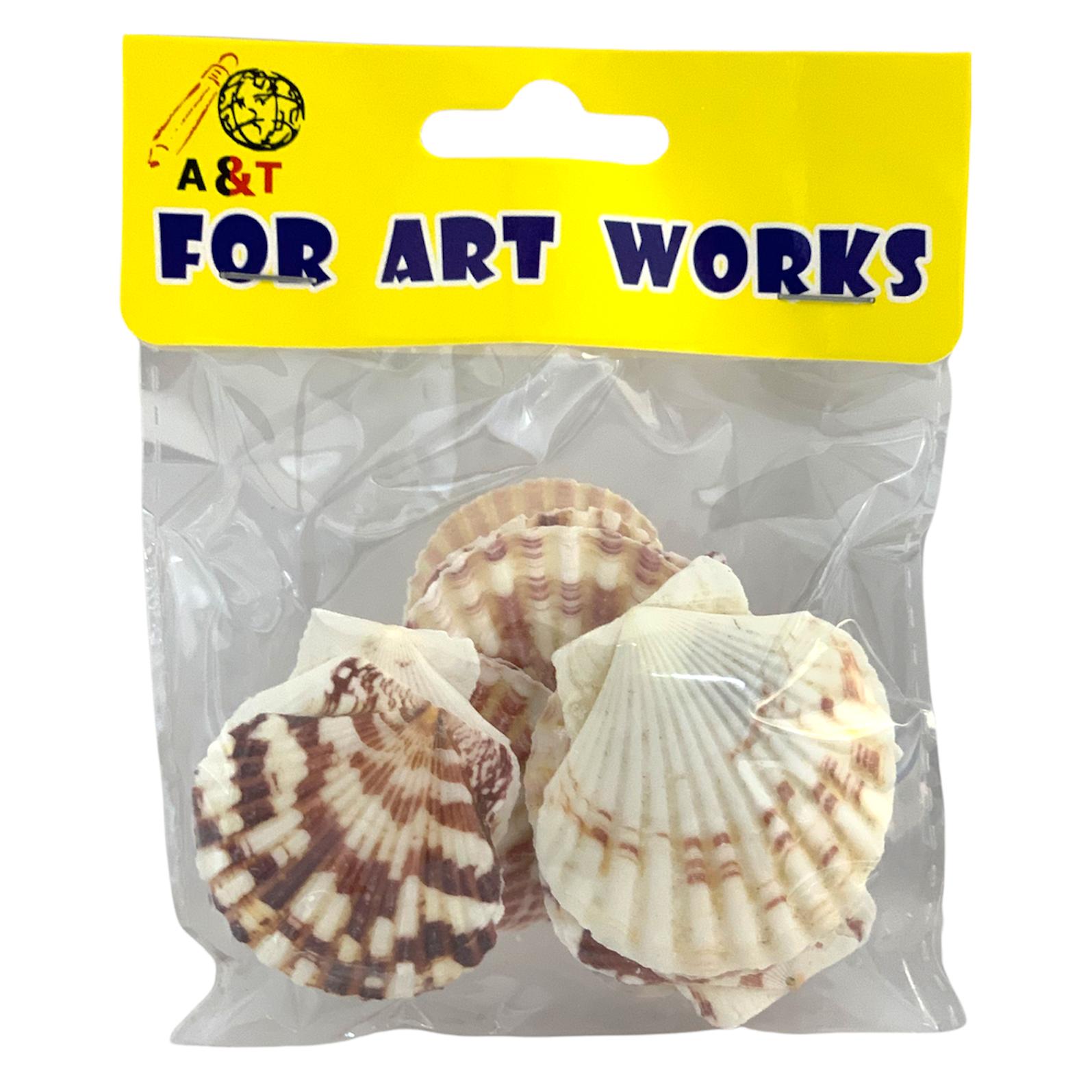 A&T Seashells Large || مجموعة صدف كبير