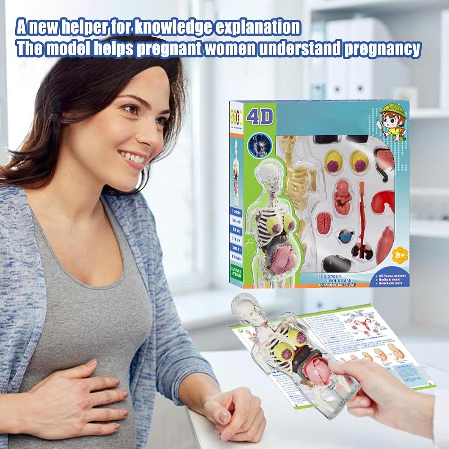 4D Transperant Pregnancy Torso Model Scientific Toy Set  || لعبة علمية مجسم المرأة الحامل رباعية الابعاد