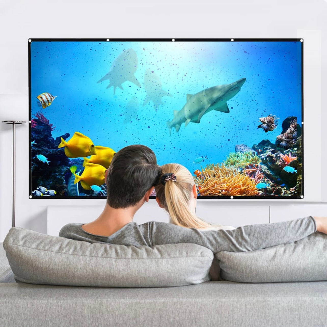 SMQ Simple Foldable Movie Projector Screen (100 inch) || اس ام كيو شاشة عرض قابلة للطي (100 بوصة)