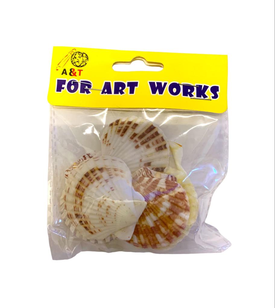 A&T DIY Sea Shells 🐚 || اصداف اشغال يدوية