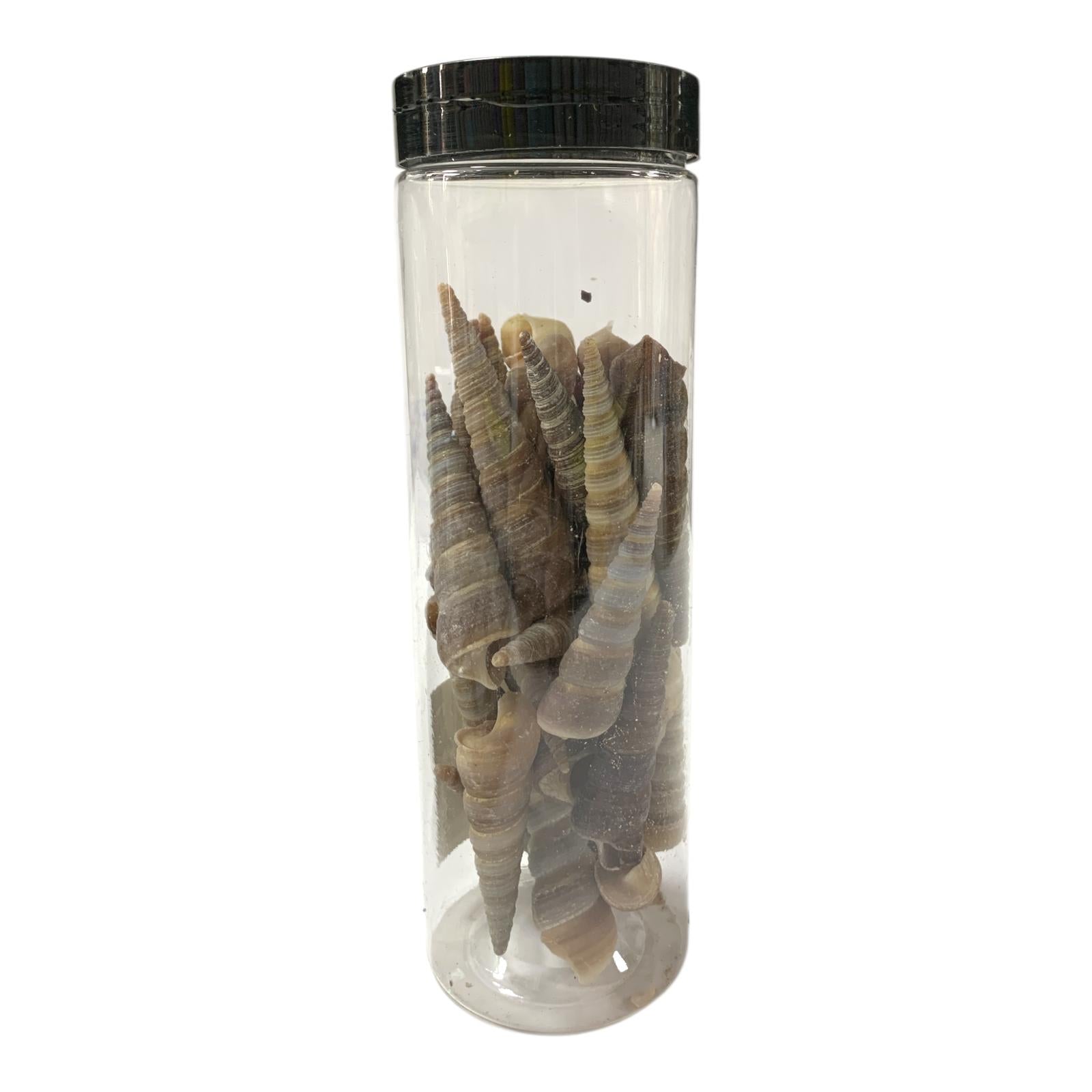 Decorative Pebbles in Jar #16 || حصى زخرفية في جرة#16