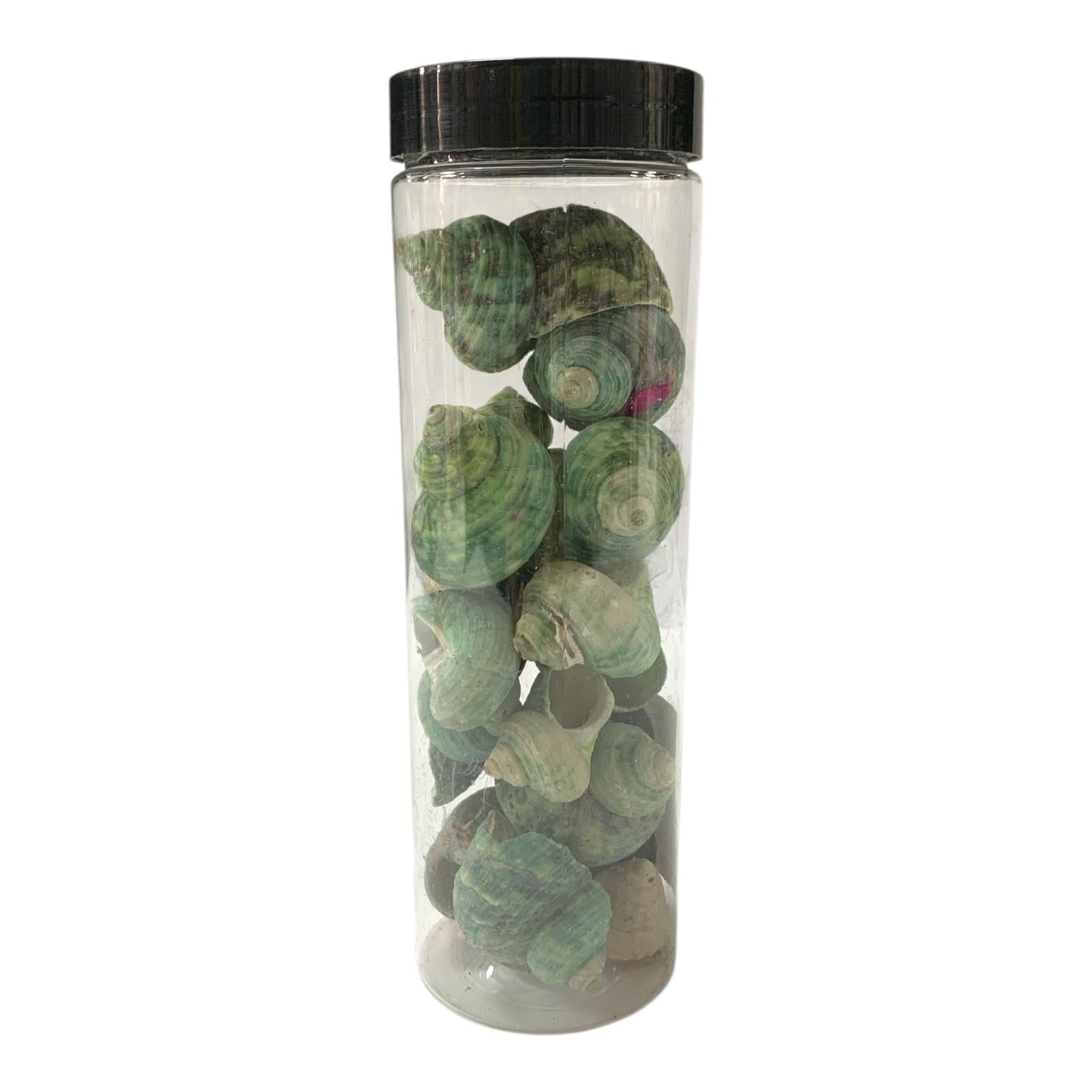 Decorative Pebbles in Jar #15 || الحصى الزخرفية في جرة#15