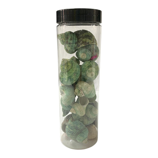 Decorative Pebbles in Jar #15 || الحصى الزخرفية في جرة#15