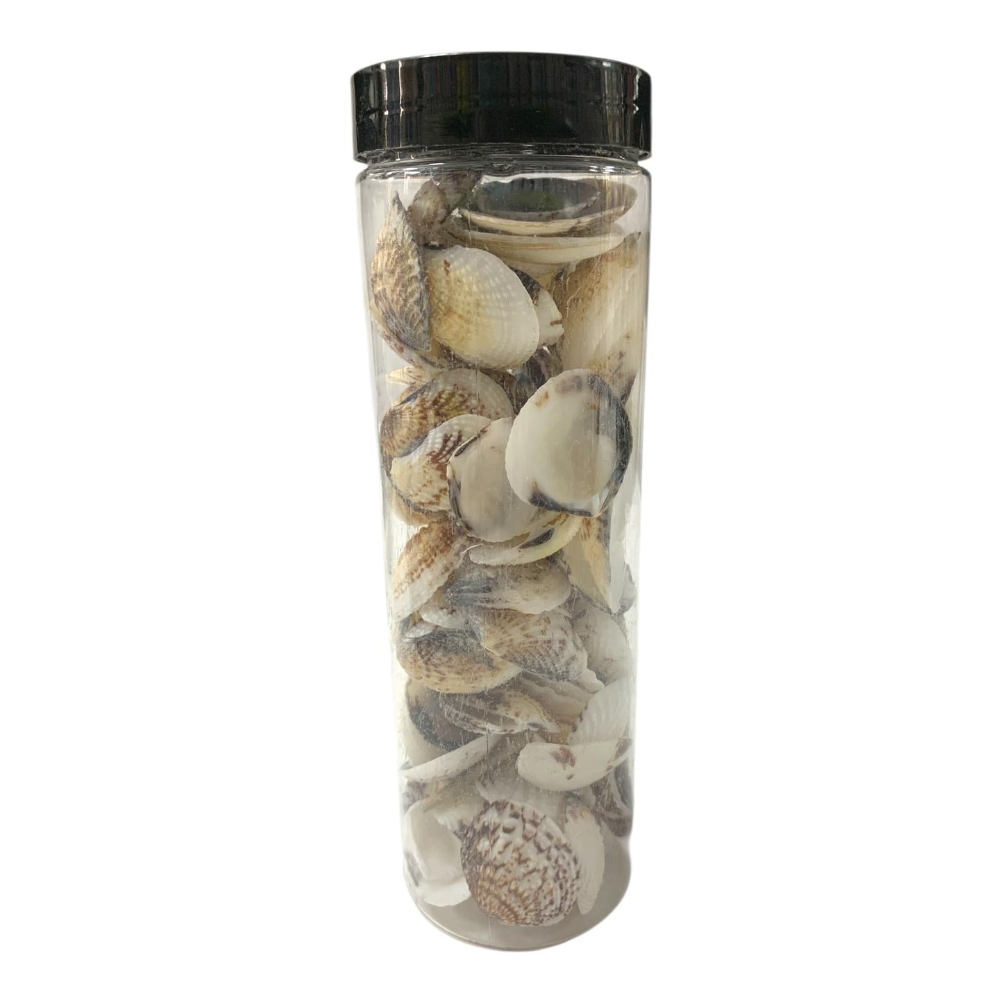 Decorative Pebbles in Jar #12 || الحصى الزخرفية في جرة#12