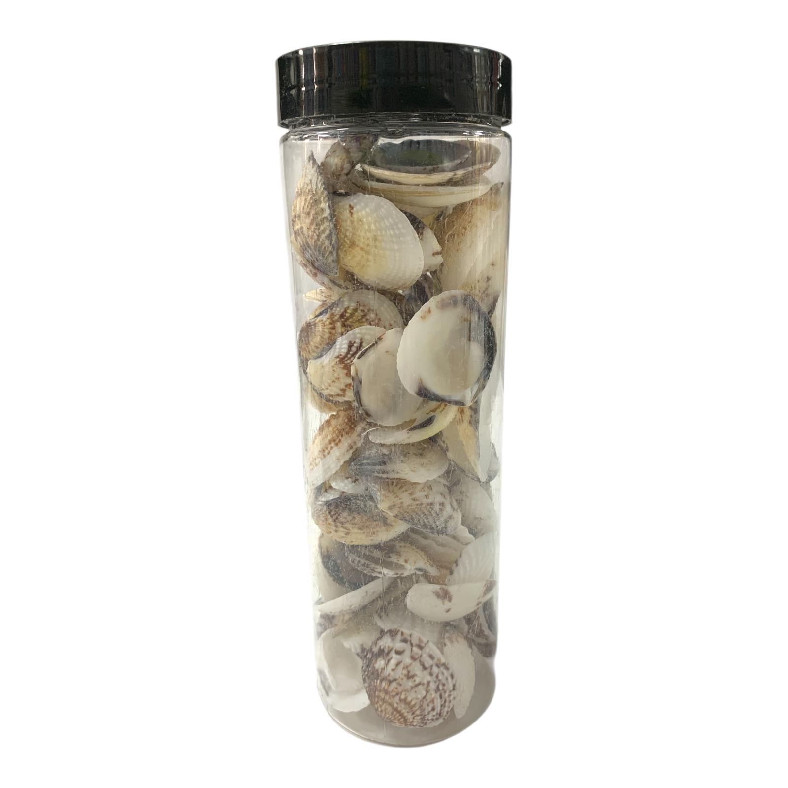 Decorative Pebbles in Jar #12 || الحصى الزخرفية في جرة#12