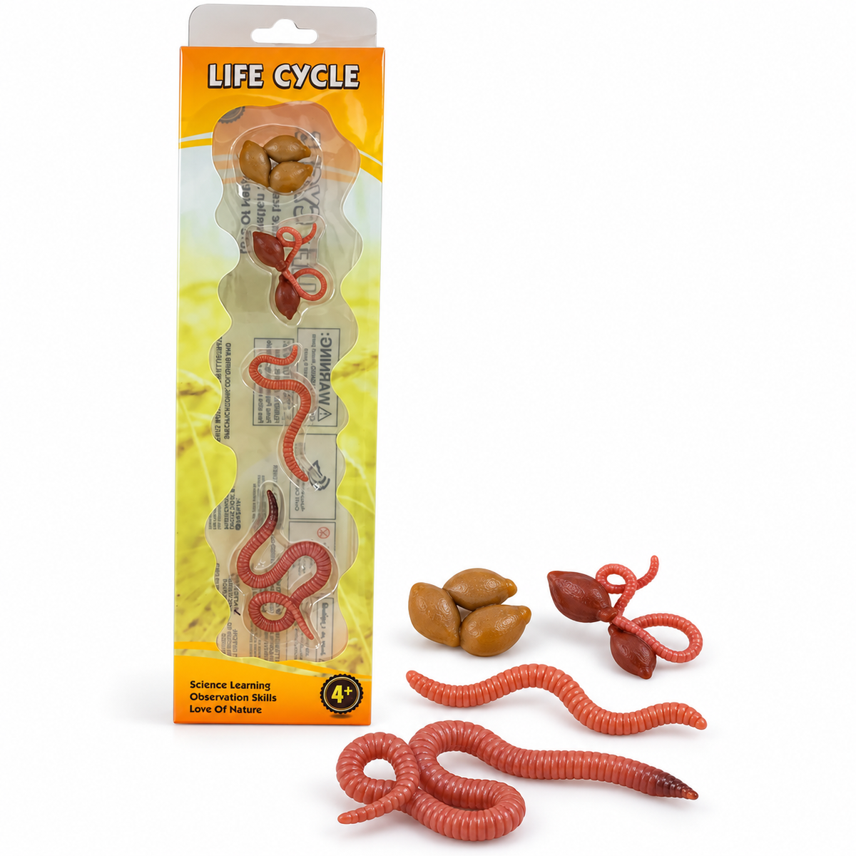 Educational Scientific Toys Life Cycle Set Worm || مجموعة العاب علمية دورة حياة الدودة