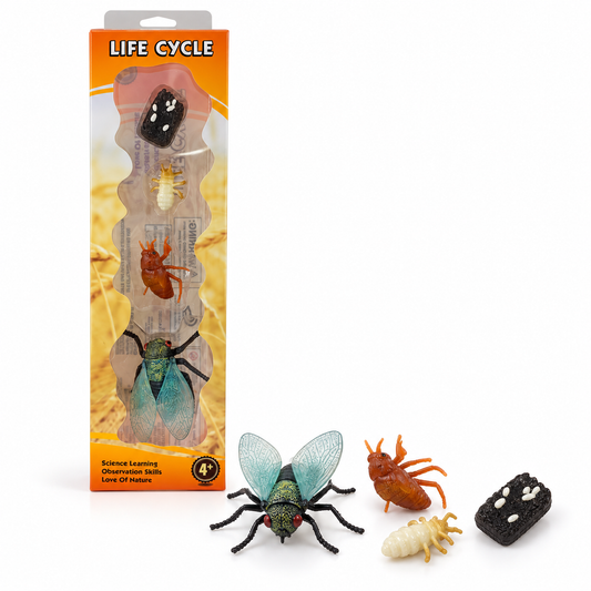 Educational Scientific Toys Life Cycle Set Flies || مجموعة العاب علمية دورة حياة الذبابة