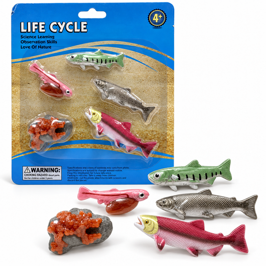Educational Scientific Toys Life Cycle Set Fish || مجموعة العاب علمية دورة حياة السمكة
