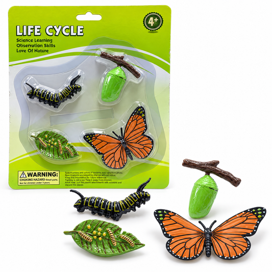 Educational Scientific Toys Life Cycle Set Butterfly || مجموعة العاب علمية دورة حياة الفراشة