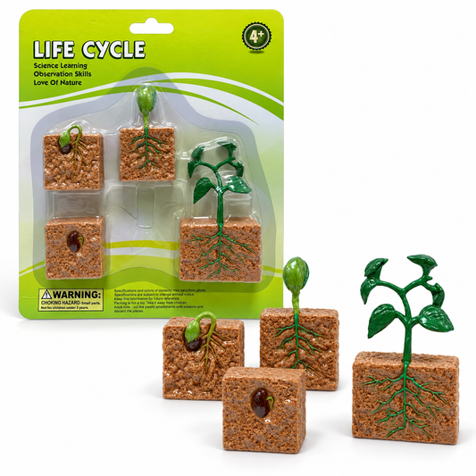 Educational Scientific Toys Life Cycle Set Plant || مجموعة العاب علمية دورة حياة النبته
