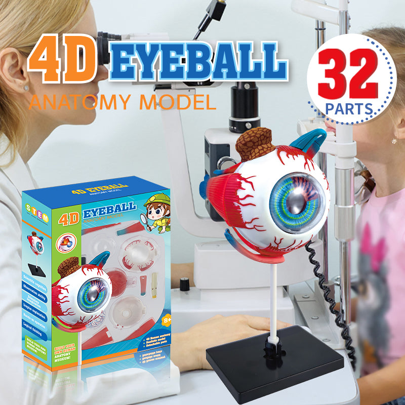 4D Eyeball Anatomy Model Scientific Toy Set  || لعبة علمية اجزاء العين البشرية رباعية الابعاد