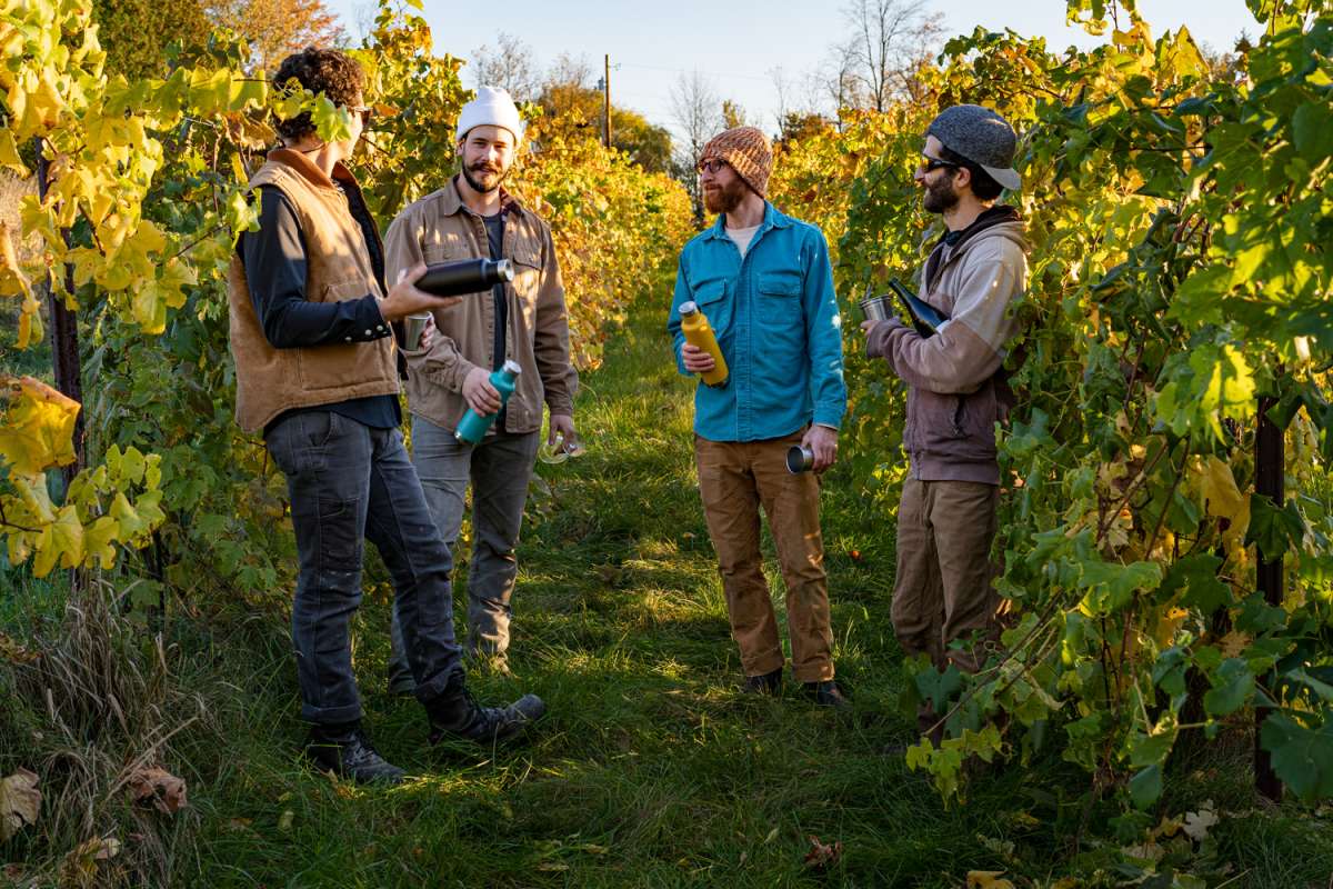 Klean Kanteen Stainless steel insulated bottle Classic 750ml Turquoise Color || مطارة ماء كليين كانتيين ستييل 750 مل لون تركوازي
