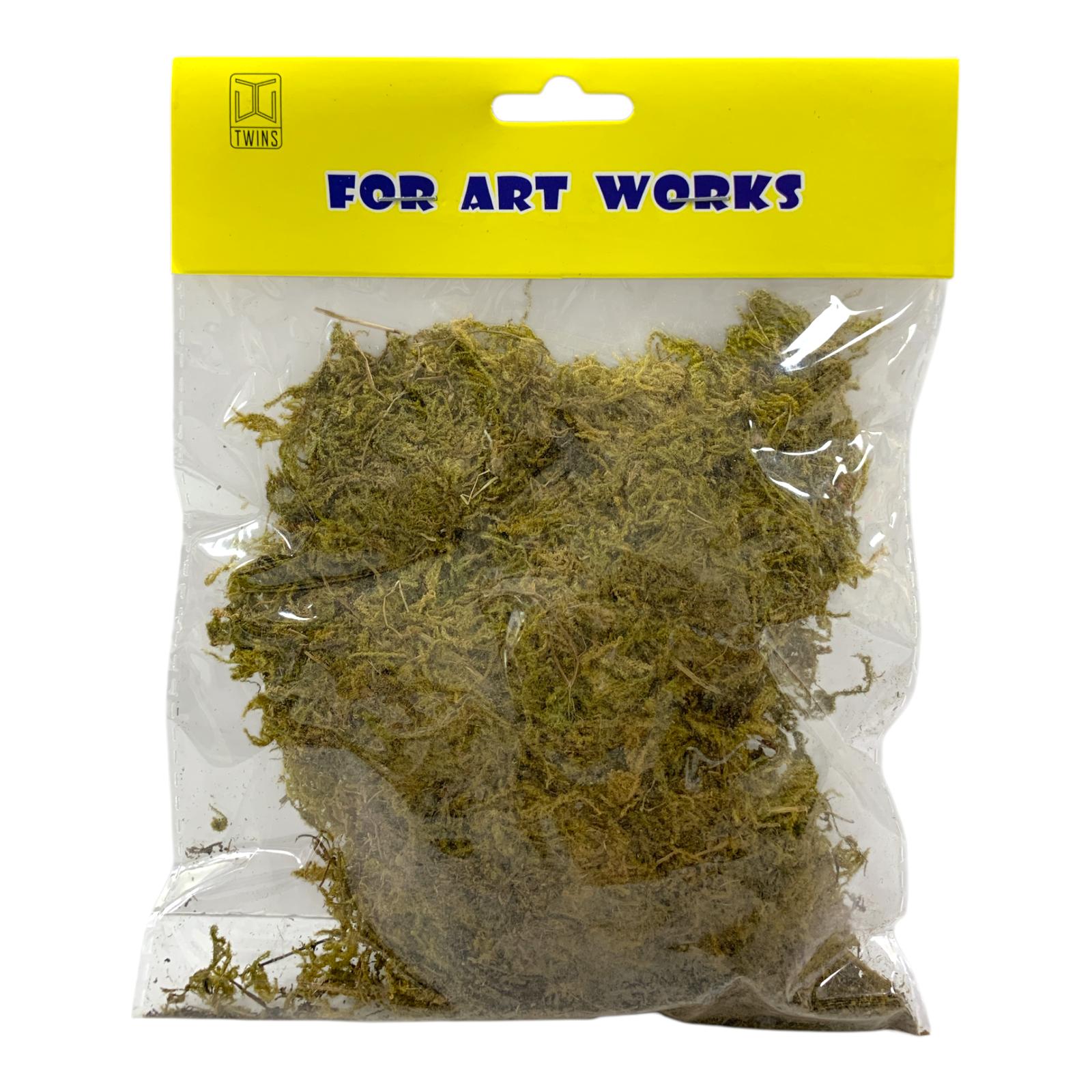 TWINS For Art Works Natural Moss Craft Kit || مجموعة طحالب للاشغال اليدوية