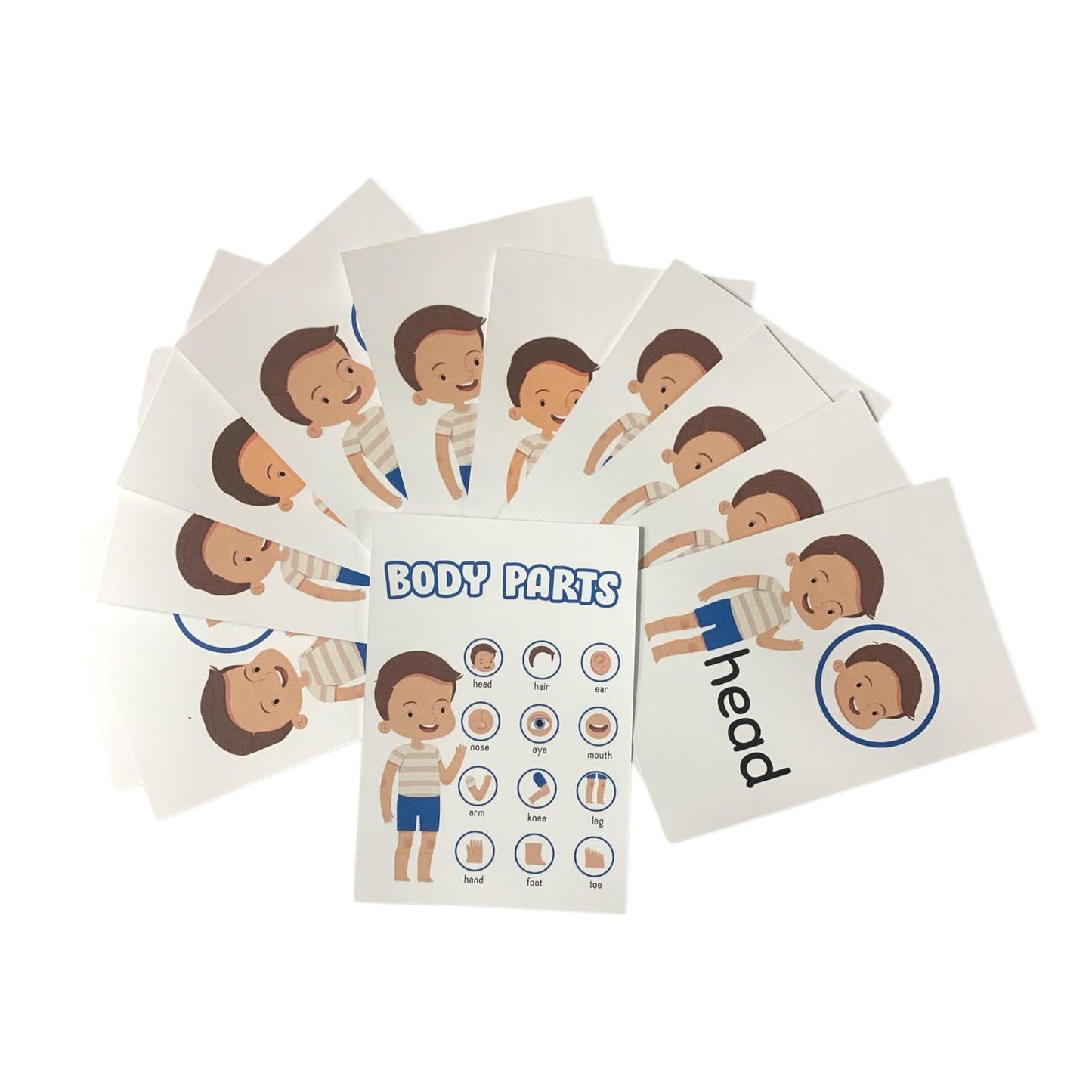 Educational Cards Classroom Strategies Body Parts English || بطاقات تعليمية استراتيجيات و العاب نشاطات الفصل اجزاء الجسم انجليزي