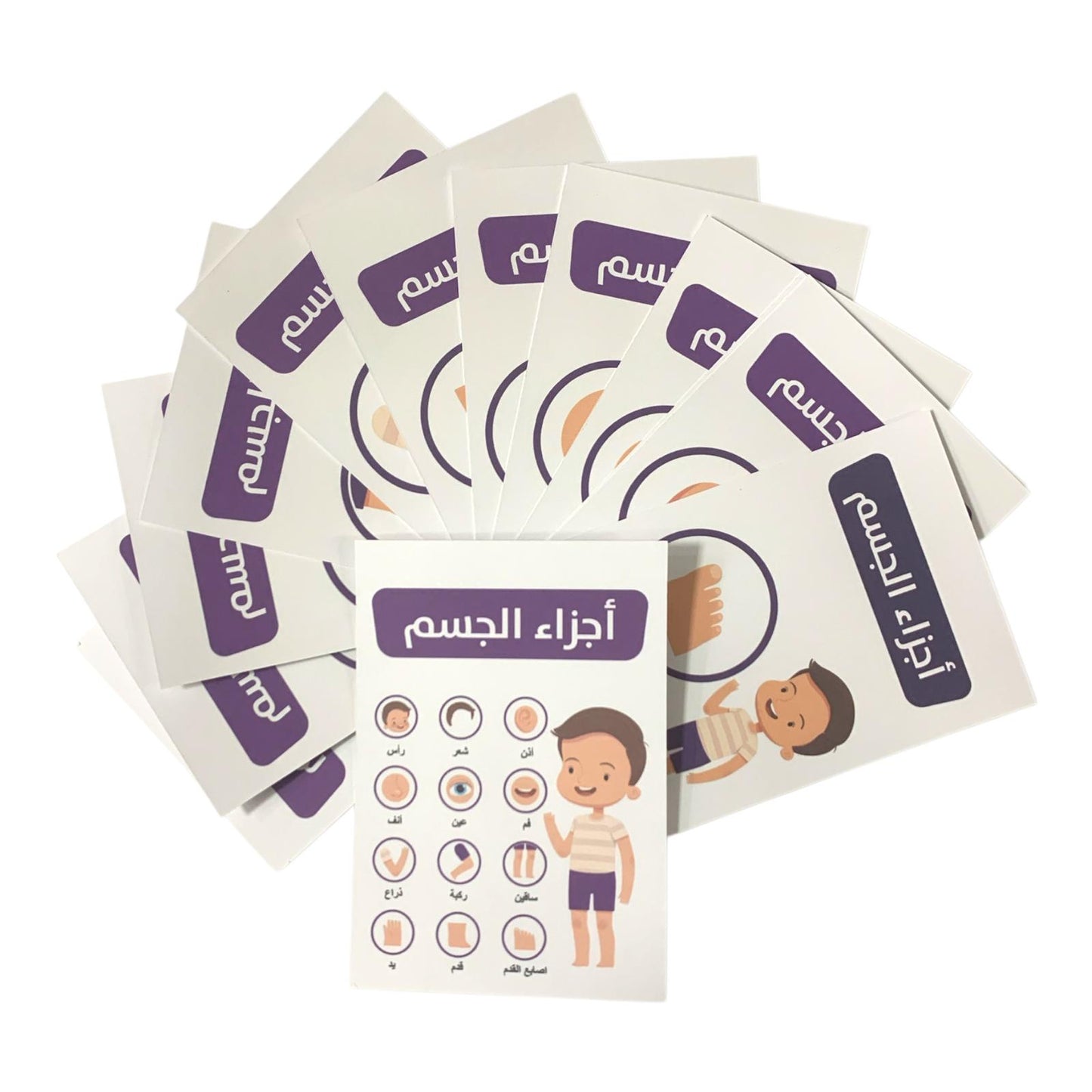 Educational Cards Classroom Strategies Body Parts Arabic || بطاقات تعليمية استراتيجيات و العاب نشاطات الفصل بطاقات اجزاء الجسم