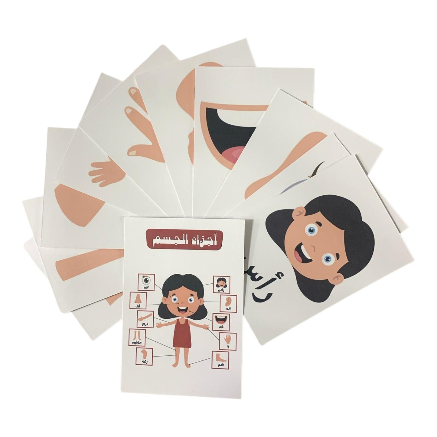 Educational Cards Classroom Strategies Body Parts || بطاقات تعليمية استراتيجيات و العاب نشاطات الفصل اجزاء الجسم