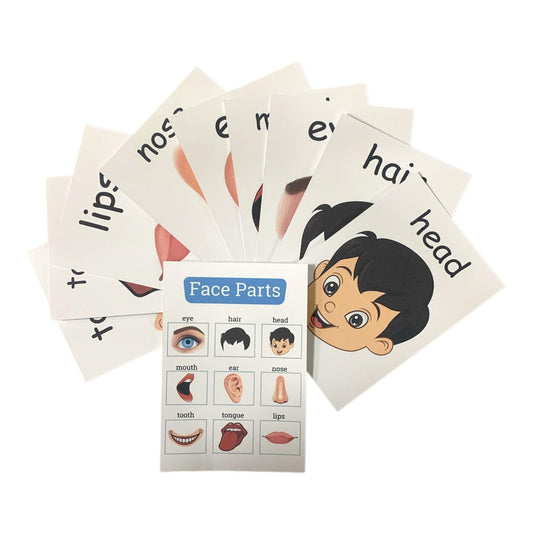Educational Cards Classroom Strategies Face Parts English || بطاقات تعليمية استراتيجيات و العاب نشاطات الفصل اجزاء الوجه عربي