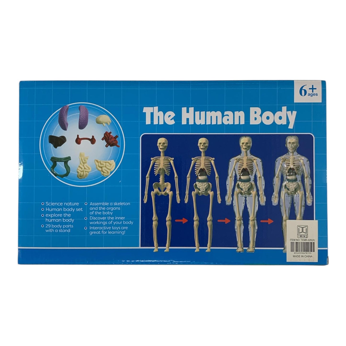 The Human Body Scientific Toy Set  || لعبة علمية جسم الانسان
