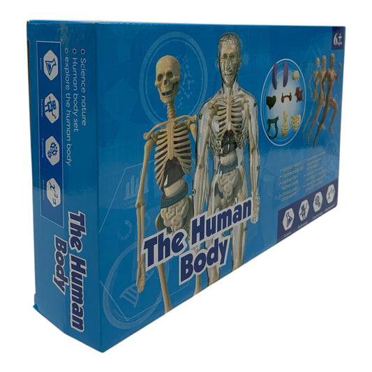The Human Body Scientific Toy Set  || لعبة علمية جسم الانسان