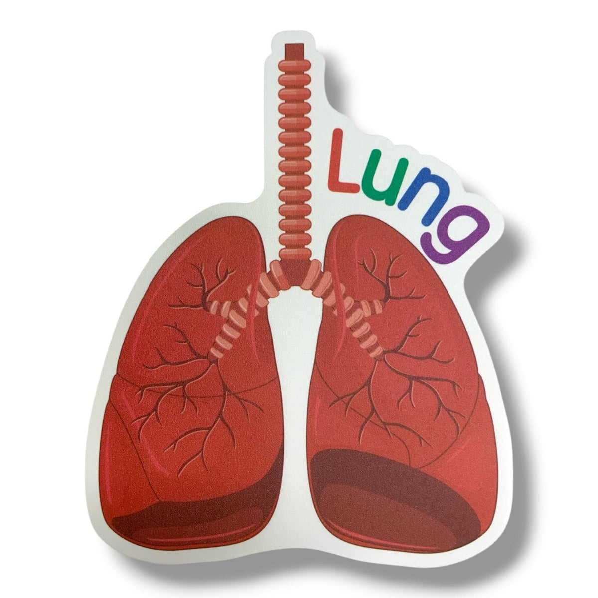 A&T Teachers Whiteboard Strategies My Body 28 Pcs || استراتيجيات تعليمية للمعلمين اجزاء الجسم 28 حبة