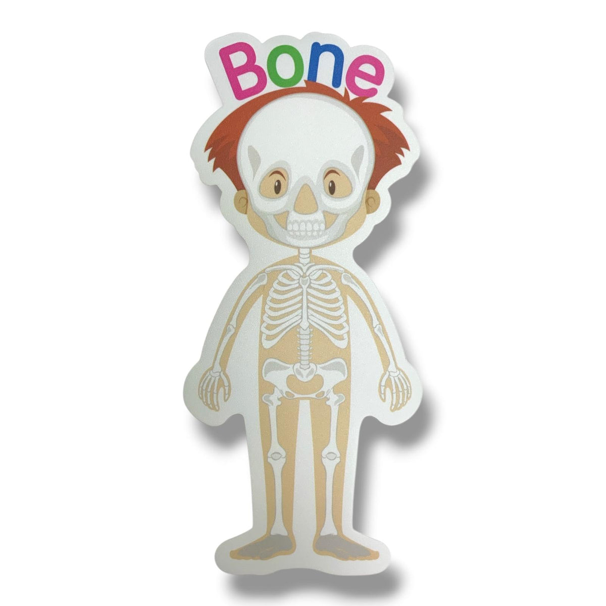 A&T Teachers Whiteboard Strategies My Body 28 Pcs || استراتيجيات تعليمية للمعلمين اجزاء الجسم 28 حبة