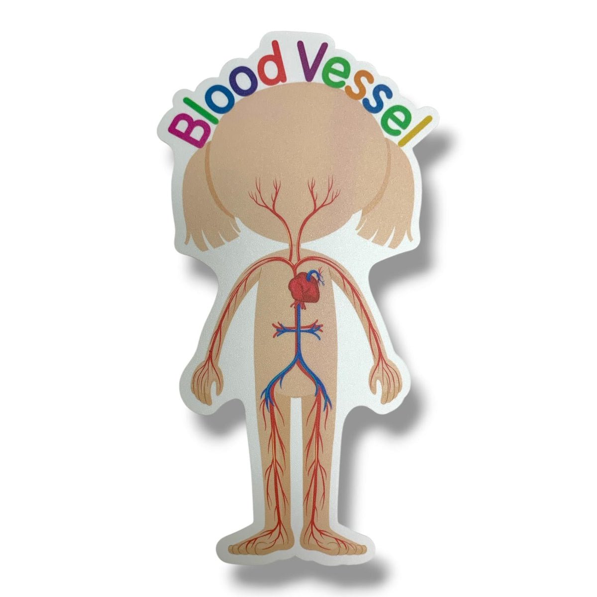 A&T Teachers Whiteboard Strategies My Body 28 Pcs || استراتيجيات تعليمية للمعلمين اجزاء الجسم 28 حبة