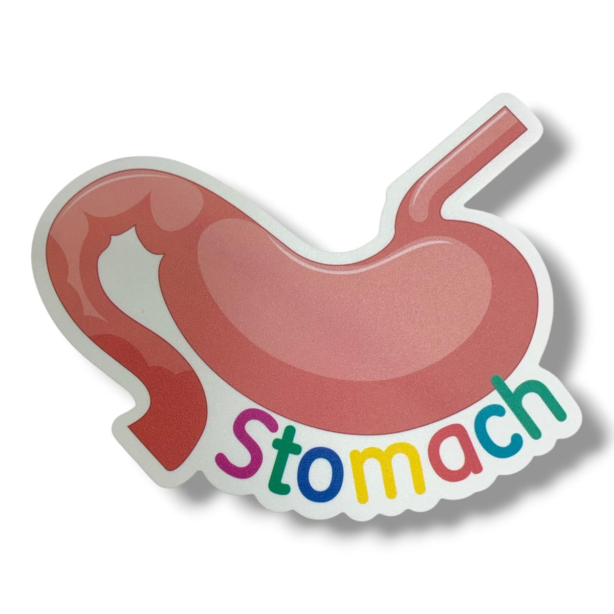 A&T Teachers Whiteboard Strategies My Body 28 Pcs || استراتيجيات تعليمية للمعلمين اجزاء الجسم 28 حبة