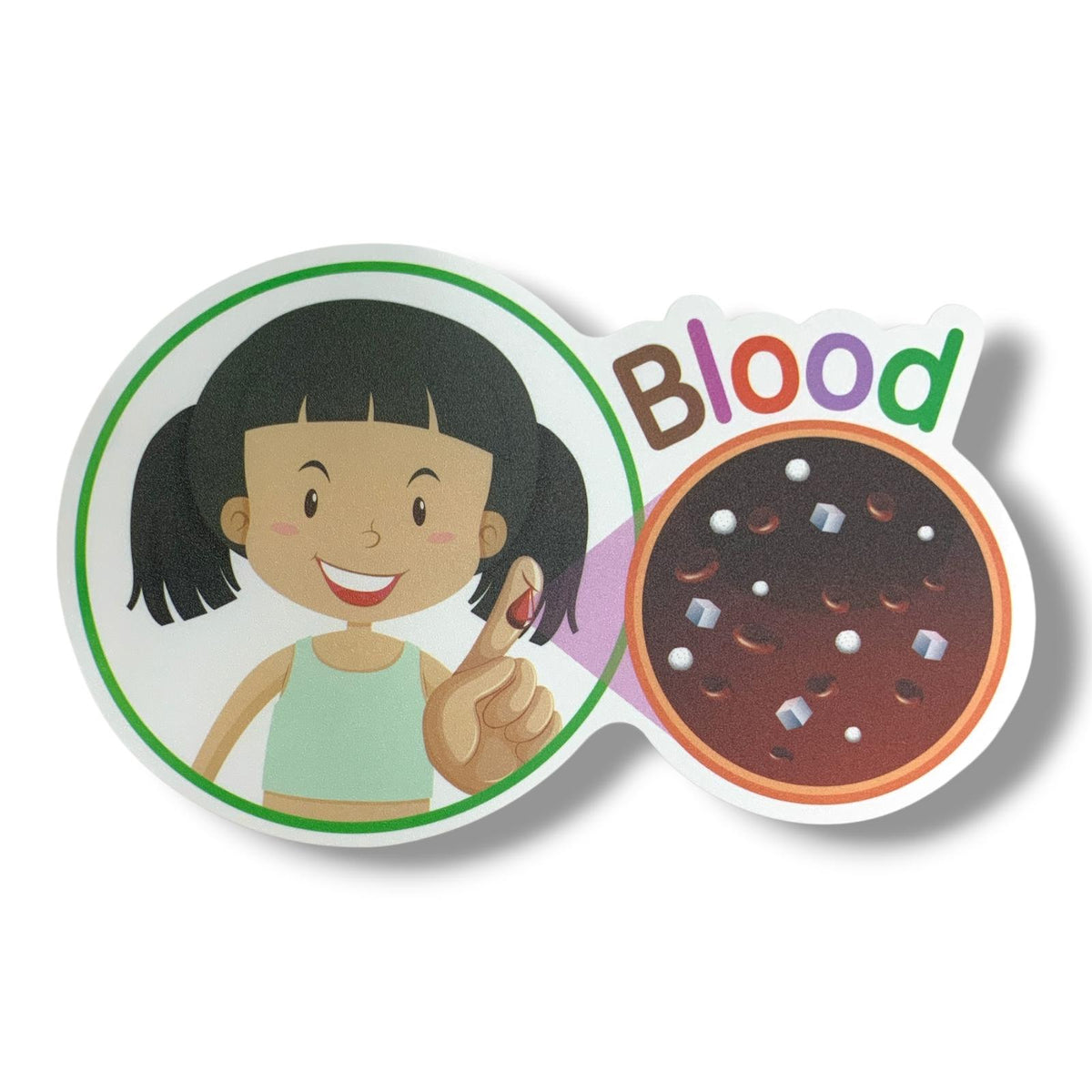A&T Teachers Whiteboard Strategies My Body 28 Pcs || استراتيجيات تعليمية للمعلمين اجزاء الجسم 28 حبة