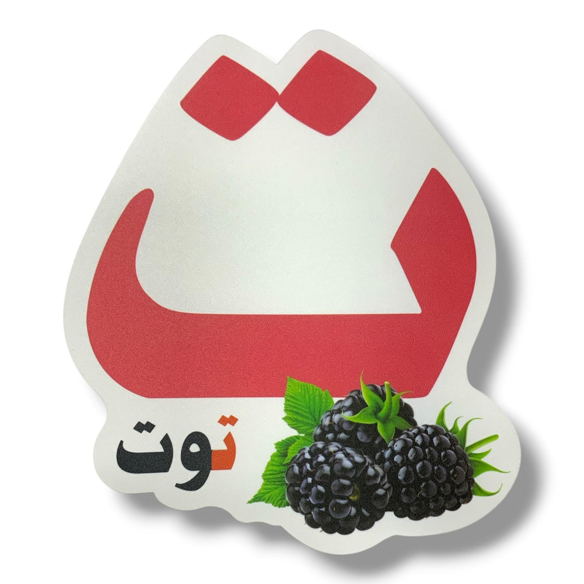 A&T Teachers Whiteboard Strategies Arabic Alphabet 28 Pcs || استراتيجيات تعليمية للمعلمين احرف عربي 28 حبة