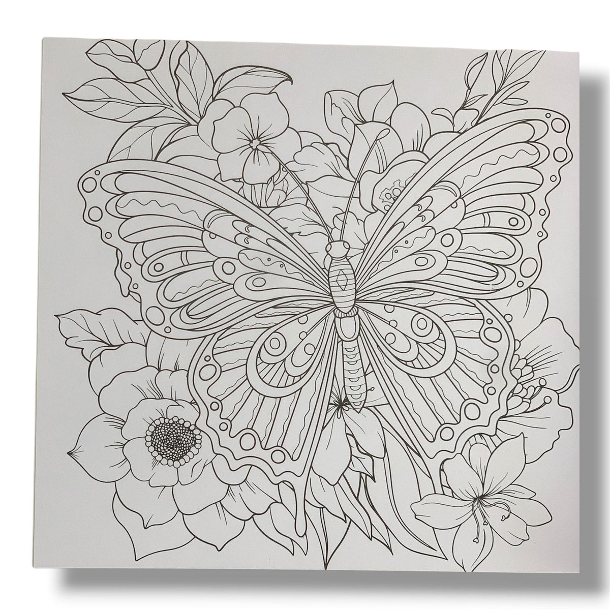 Mandala Butterfly Coloring Book