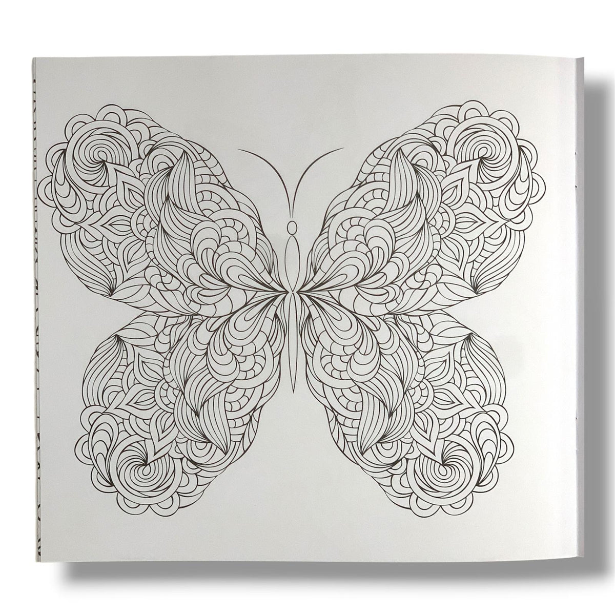 Mandala Butterfly Coloring Book