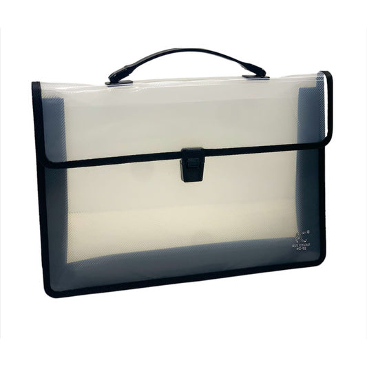 Transparent Plastic File || ملف شفاق ملون