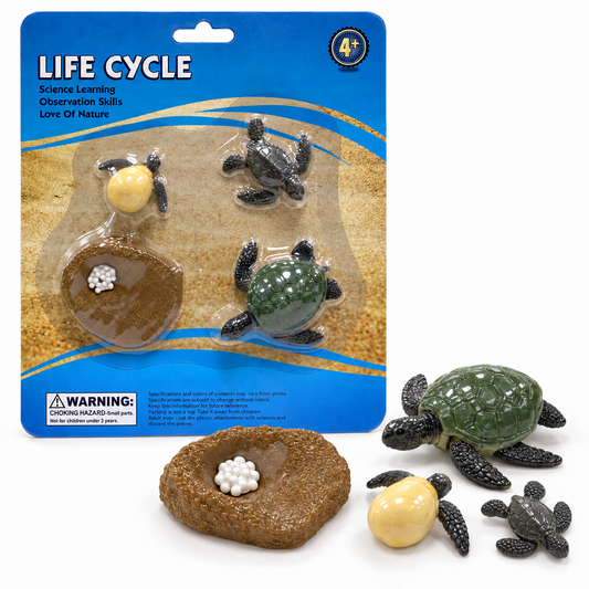 Educational Scientific Toys Life Cycle Set Turtle || مجموعة العاب علمية دورة حياة السلحفاة