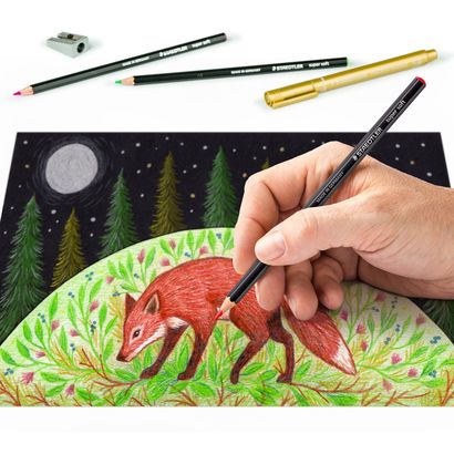 Staedtler Black and White Set || مجموعه الوان رسم سكتش بلاك اند وايت 17 قطعه